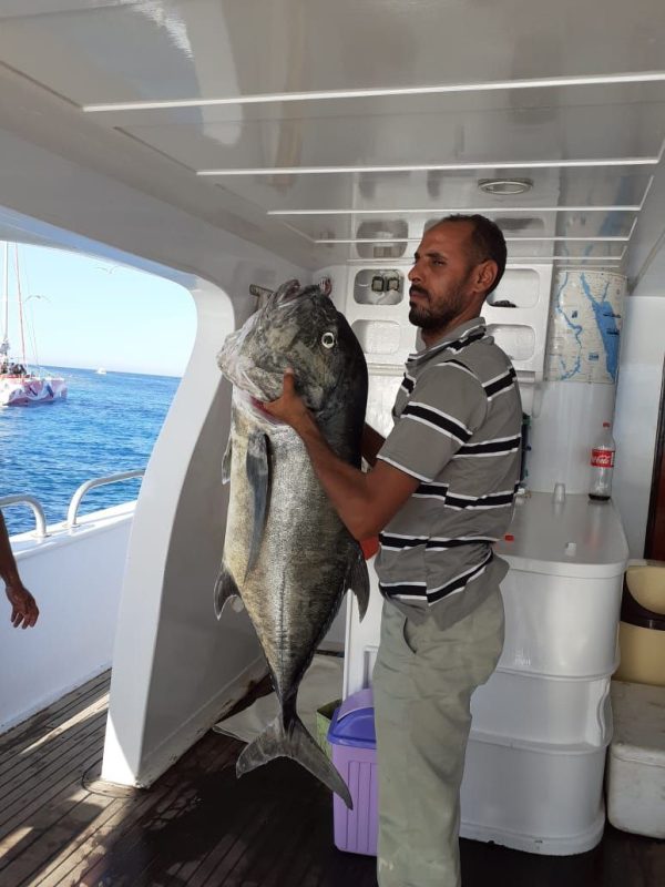 Pêche privée en mer Rouge Hurghada