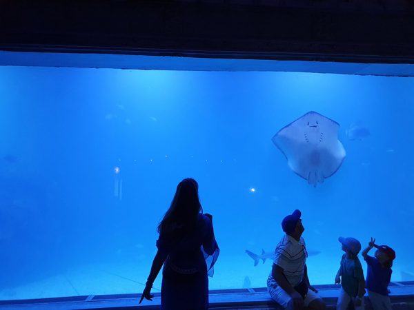 Le Grand Aquarium d'Hurghada