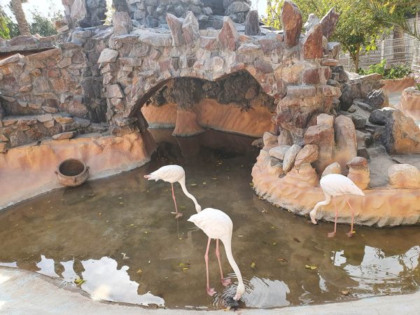 Le Grand Aquarium d'Hurghada