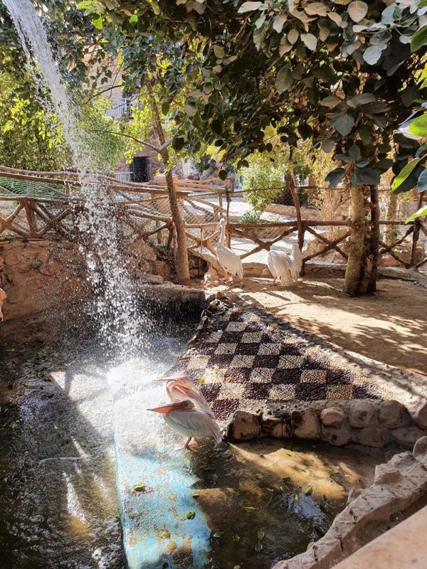 Le Grand Aquarium d'Hurghada