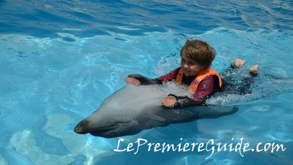 Nager avec les dauphins Hurghada dolphinarium