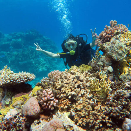 Plongée professionnelle a Hurghada