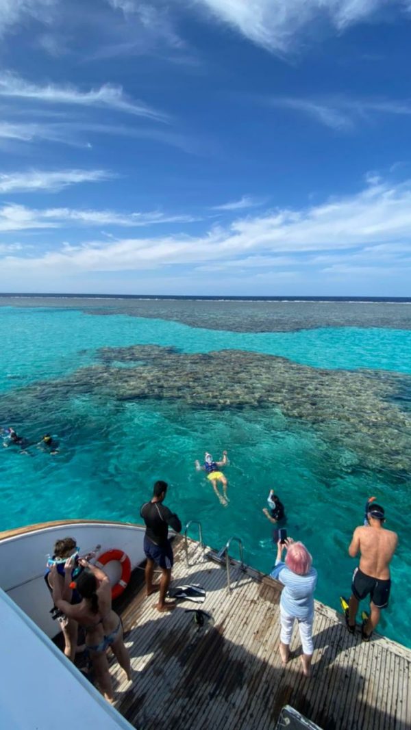 dolphin bay Hurghada