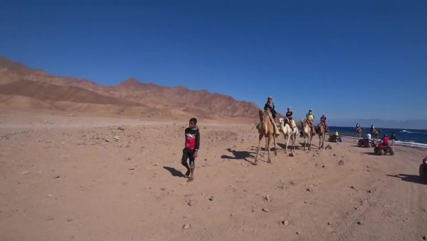 Dahab Découverte