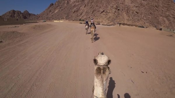 safari en quad depuis Charm el-Cheikh