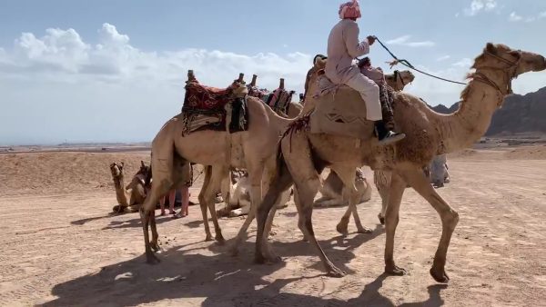 safari en quad depuis Charm el-Cheikh