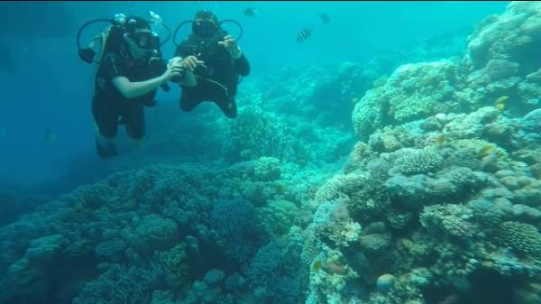 Plongée à Hurghada