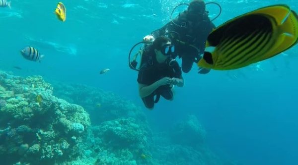 Plongée à Hurghada