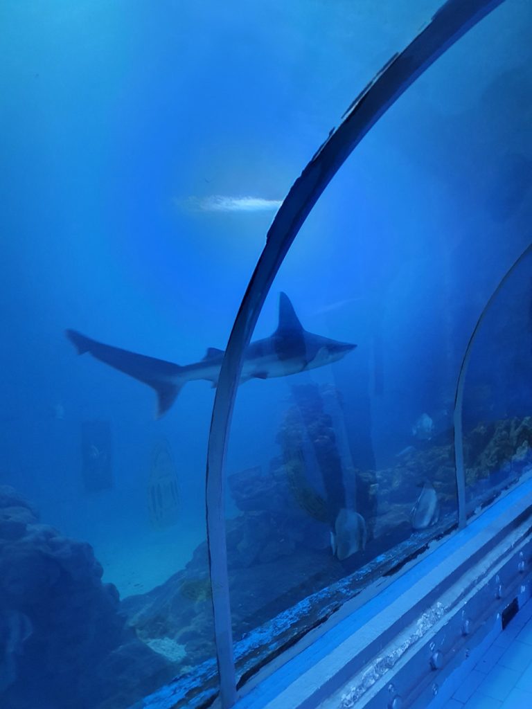 Le Grand Aquarium d'Hurghada