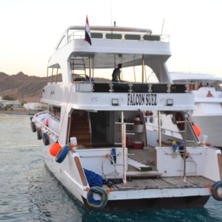 Individual yacht to Ras Mohammed - lepremierguide